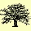 family tree templates